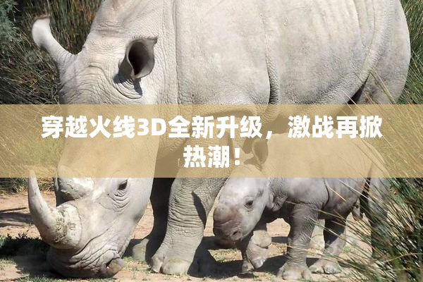穿越火线3D全新升级，激战再掀热潮！