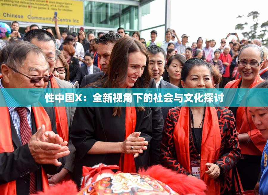 性中国X：全新视角下的社会与文化探讨
