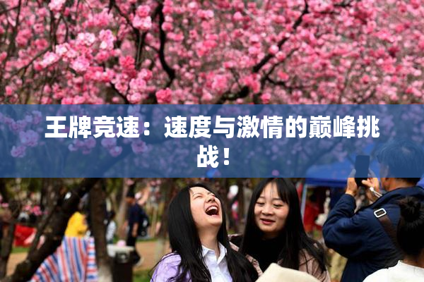 王牌竞速：速度与激情的巅峰挑战！