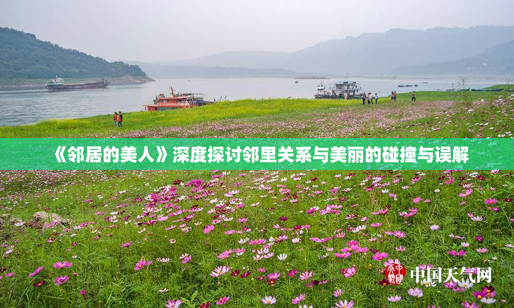 《邻居的美人》深度探讨邻里关系与美丽的碰撞与误解