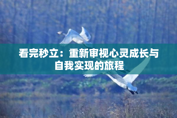 看完秒立：重新审视心灵成长与自我实现的旅程