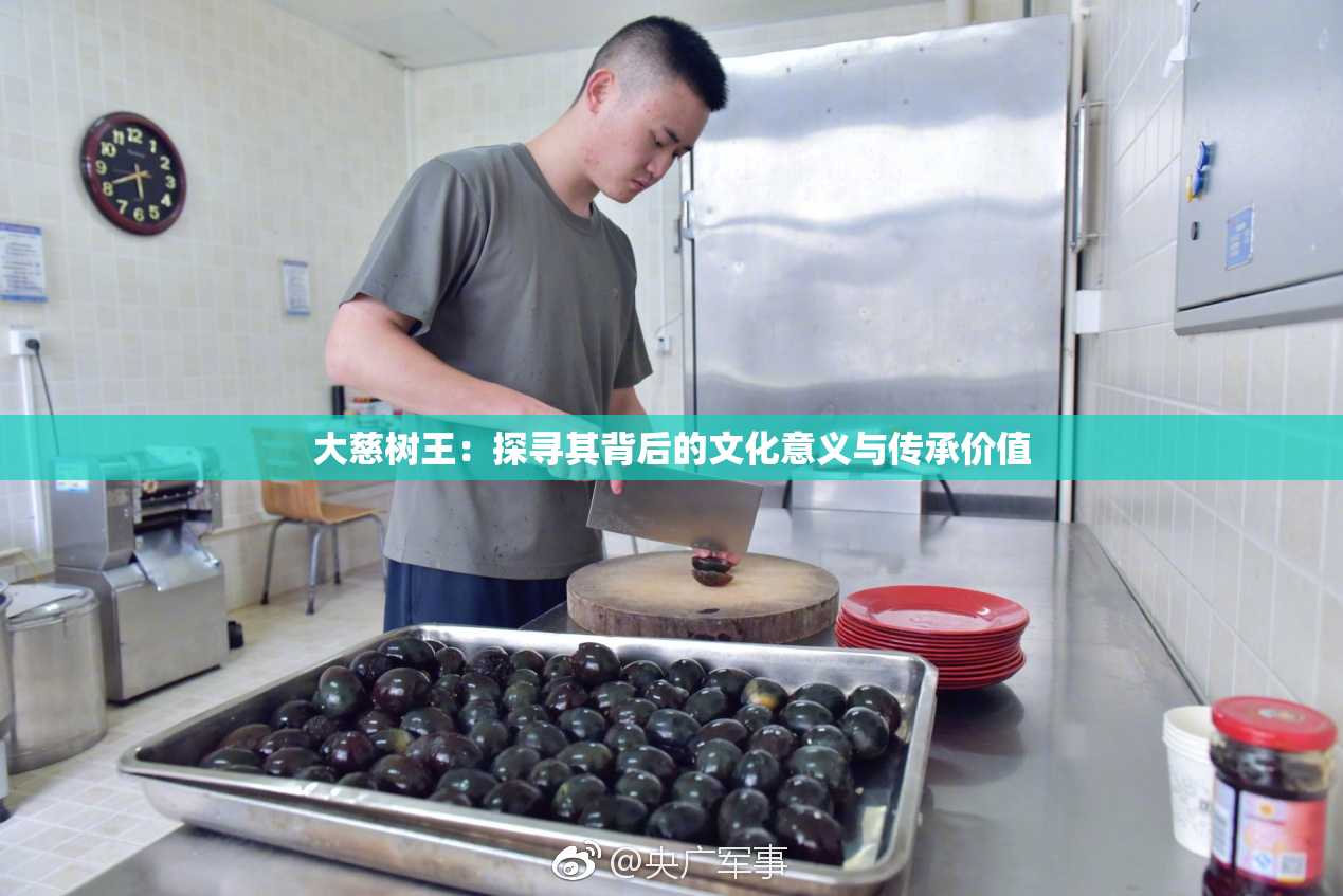 大慈树王：探寻其背后的文化意义与传承价值