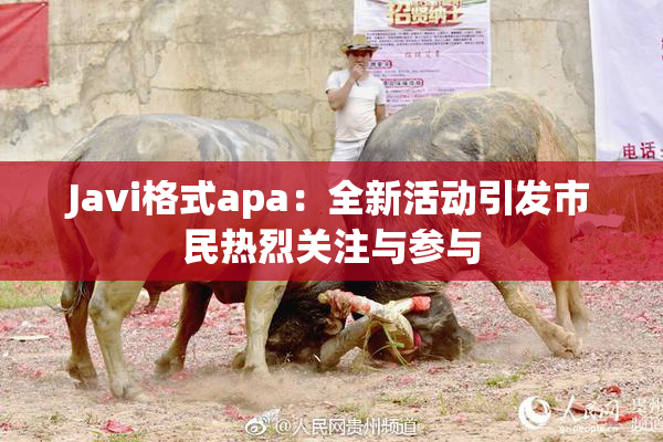 Javi格式apa：全新活动引发市民热烈关注与参与