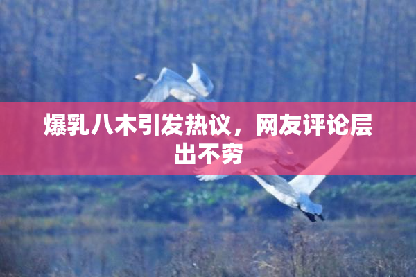 爆乳八木引发热议，网友评论层出不穷