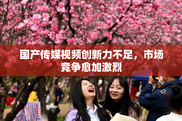 国产传媒视频创新力不足，市场竞争愈加激烈