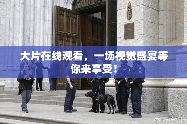 大片在线观看，一场视觉盛宴等你来享受！
