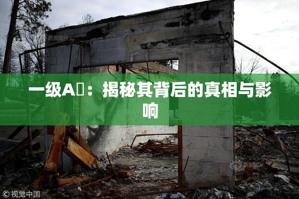 一级A婬：揭秘其背后的真相与影响