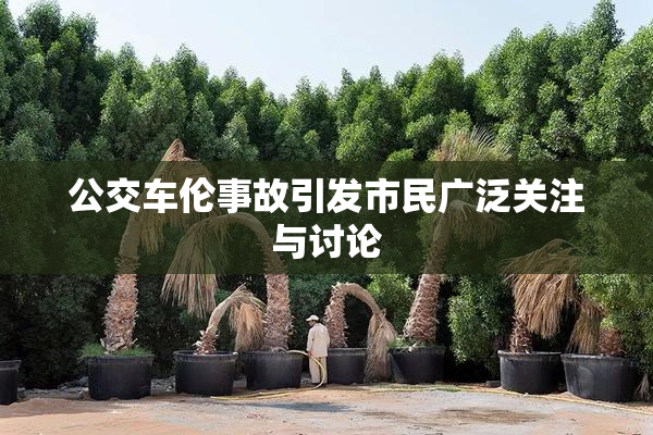 公交车伦事故引发市民广泛关注与讨论