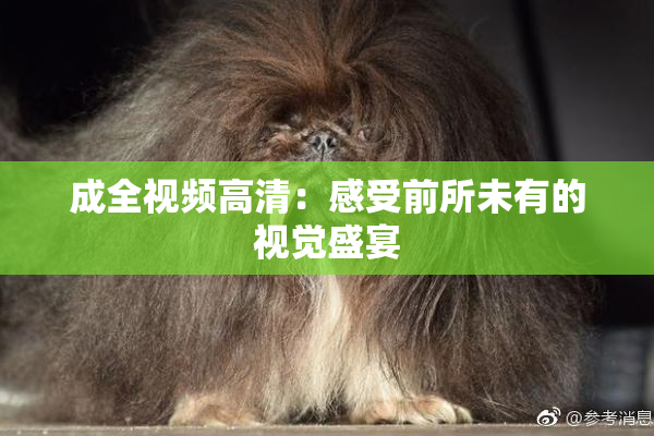 成全视频高清：感受前所未有的视觉盛宴