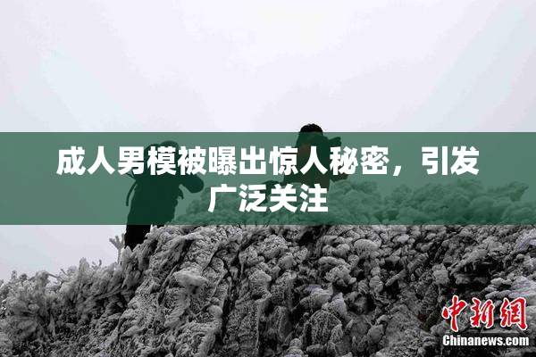 成人男模被曝出惊人秘密，引发广泛关注