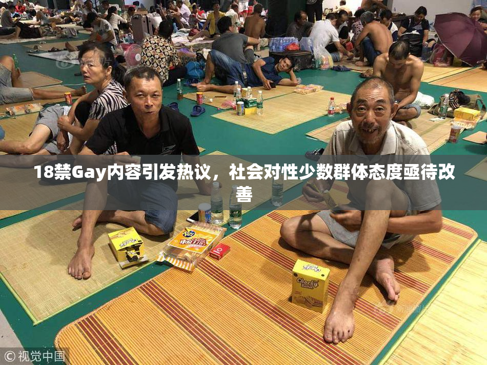 18禁Gay内容引发热议，社会对性少数群体态度亟待改善
