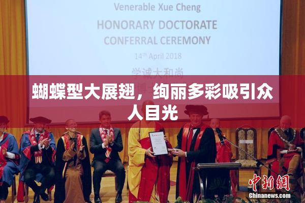 蝴蝶型大展翅，绚丽多彩吸引众人目光