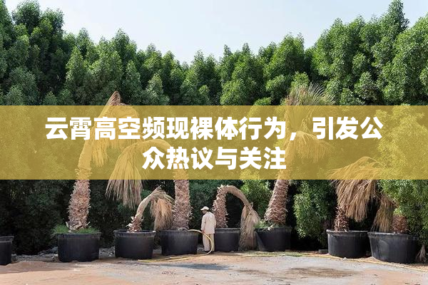 云霄高空频现裸体行为，引发公众热议与关注