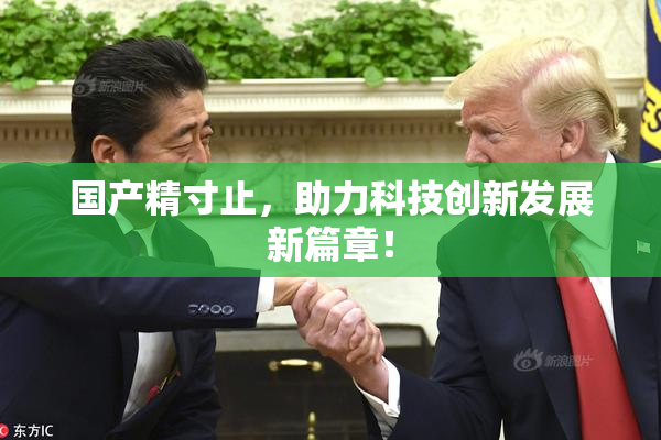 国产精寸止，助力科技创新发展新篇章！
