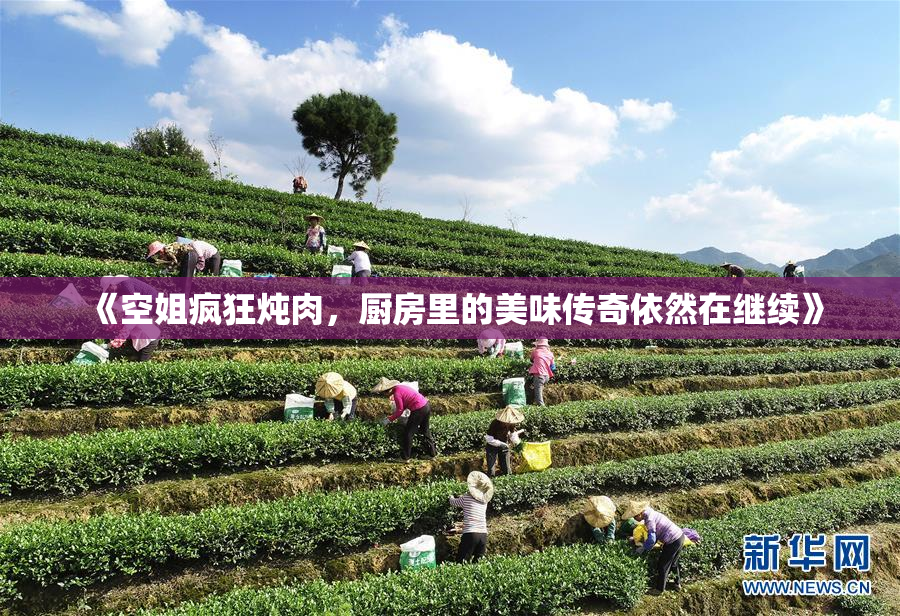 《空姐疯狂炖肉，厨房里的美味传奇依然在继续》