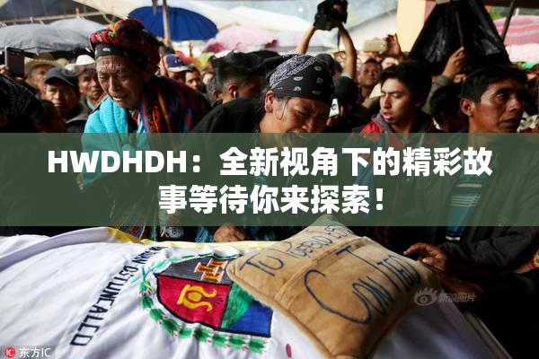 HWDHDH：全新视角下的精彩故事等待你来探索！