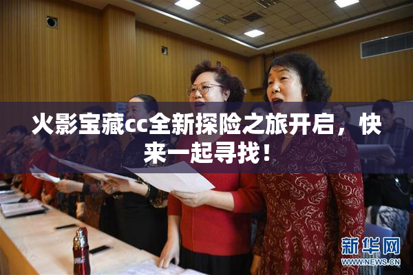 火影宝藏cc全新探险之旅开启，快来一起寻找！