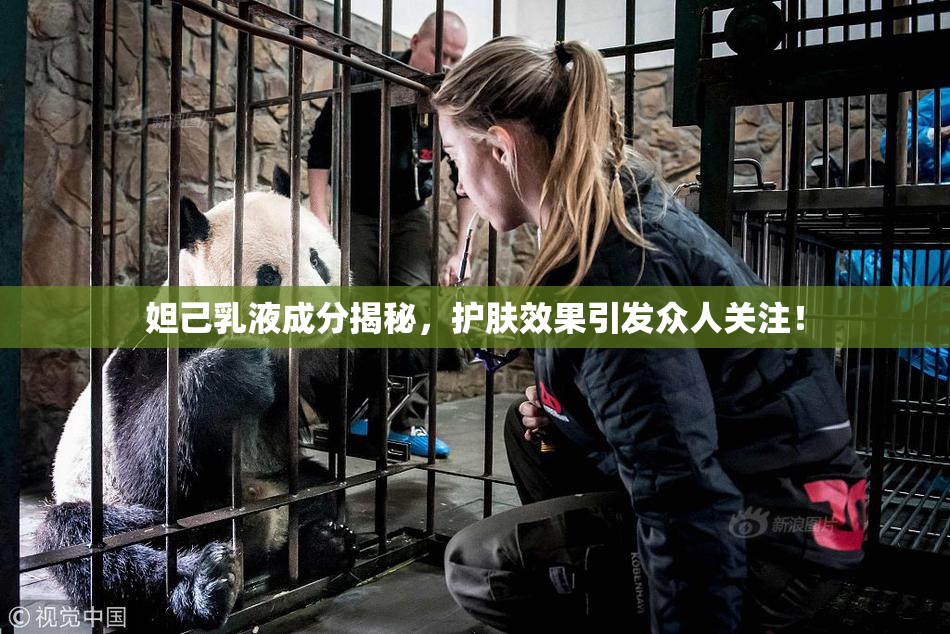 妲己乳液成分揭秘，护肤效果引发众人关注！