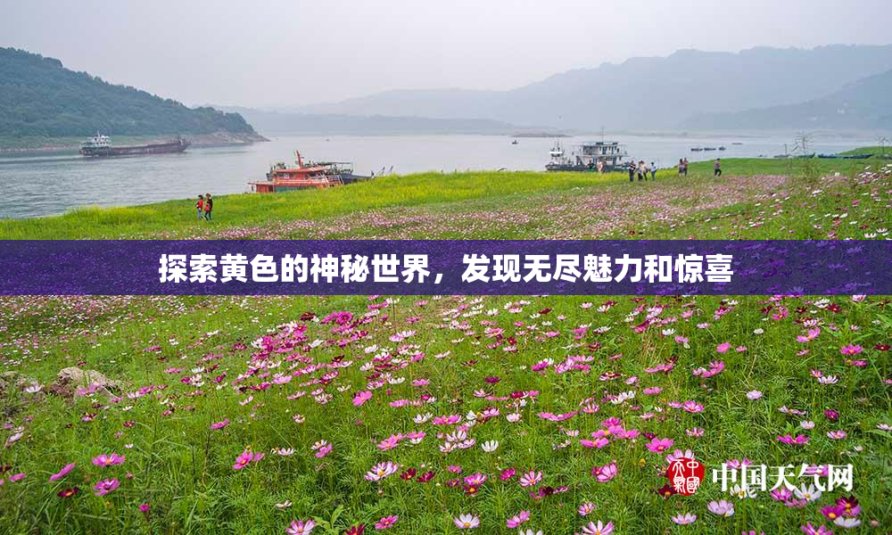 探索黄色的神秘世界，发现无尽魅力和惊喜