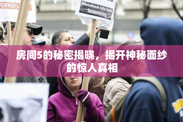 房间5的秘密揭晓，揭开神秘面纱的惊人真相