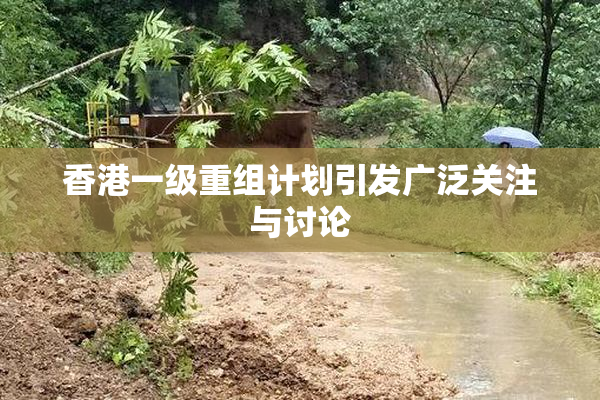 香港一级重组计划引发广泛关注与讨论