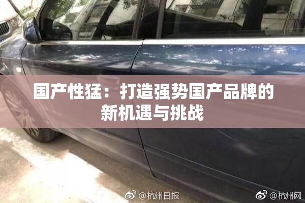 国产性猛：打造强势国产品牌的新机遇与挑战