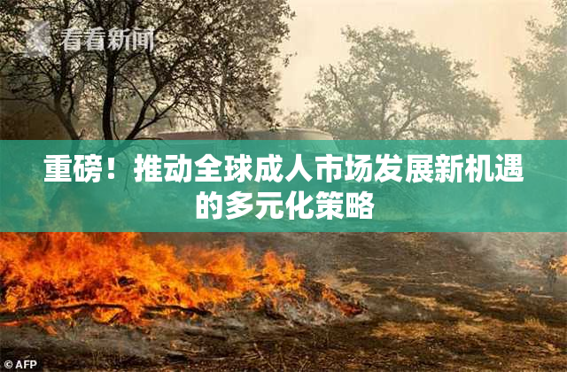 重磅！推动全球成人市场发展新机遇的多元化策略