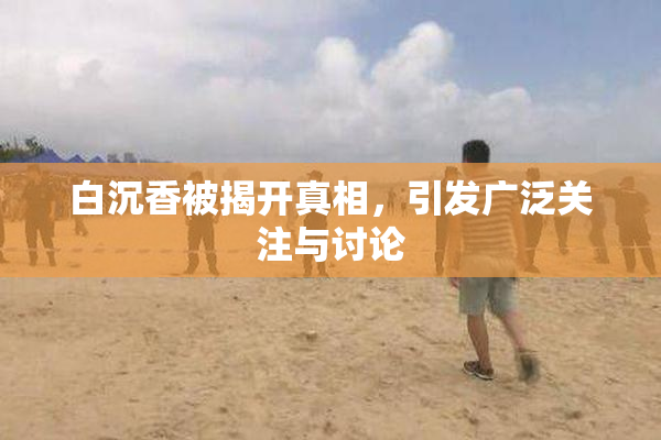 白沉香被揭开真相，引发广泛关注与讨论