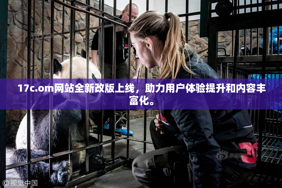 17c.om网站全新改版上线，助力用户体验提升和内容丰富化。