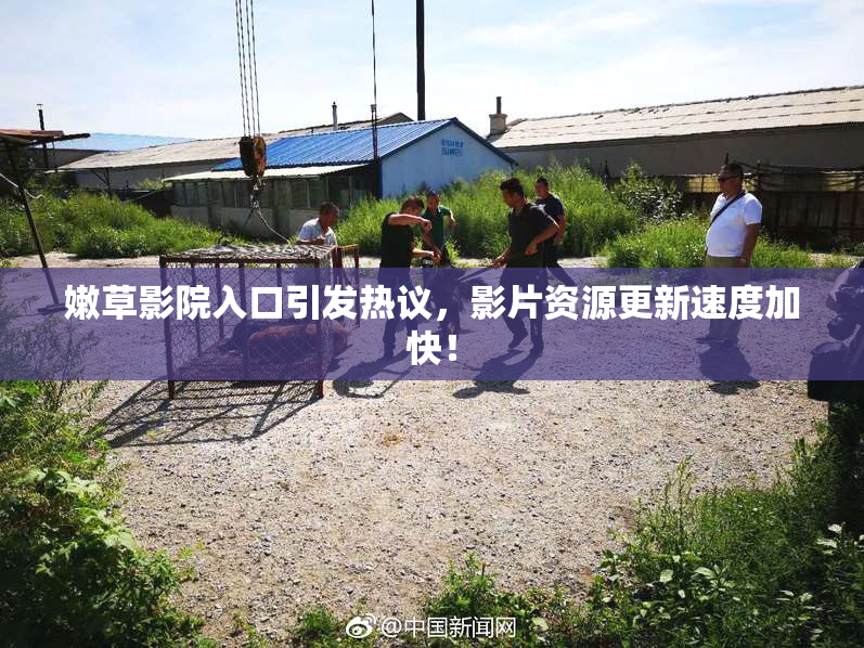 嫩草影院入口引发热议，影片资源更新速度加快！