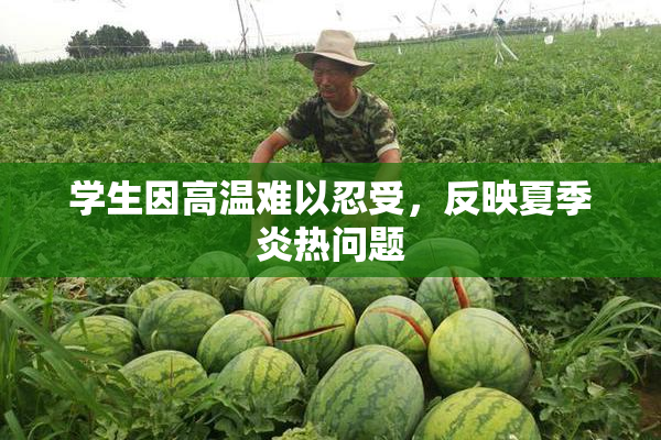 学生因高温难以忍受，反映夏季炎热问题