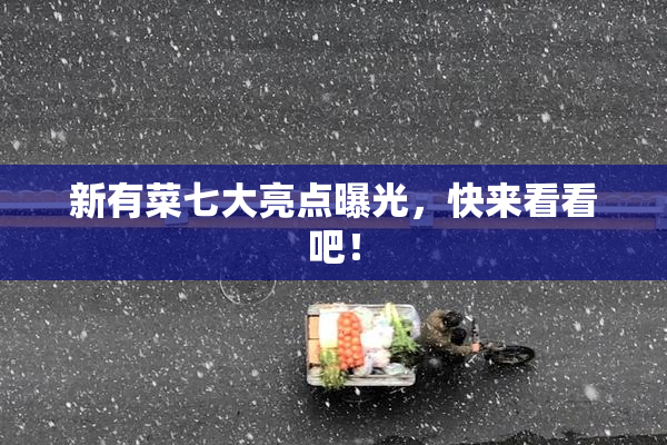 新有菜七大亮点曝光，快来看看吧！