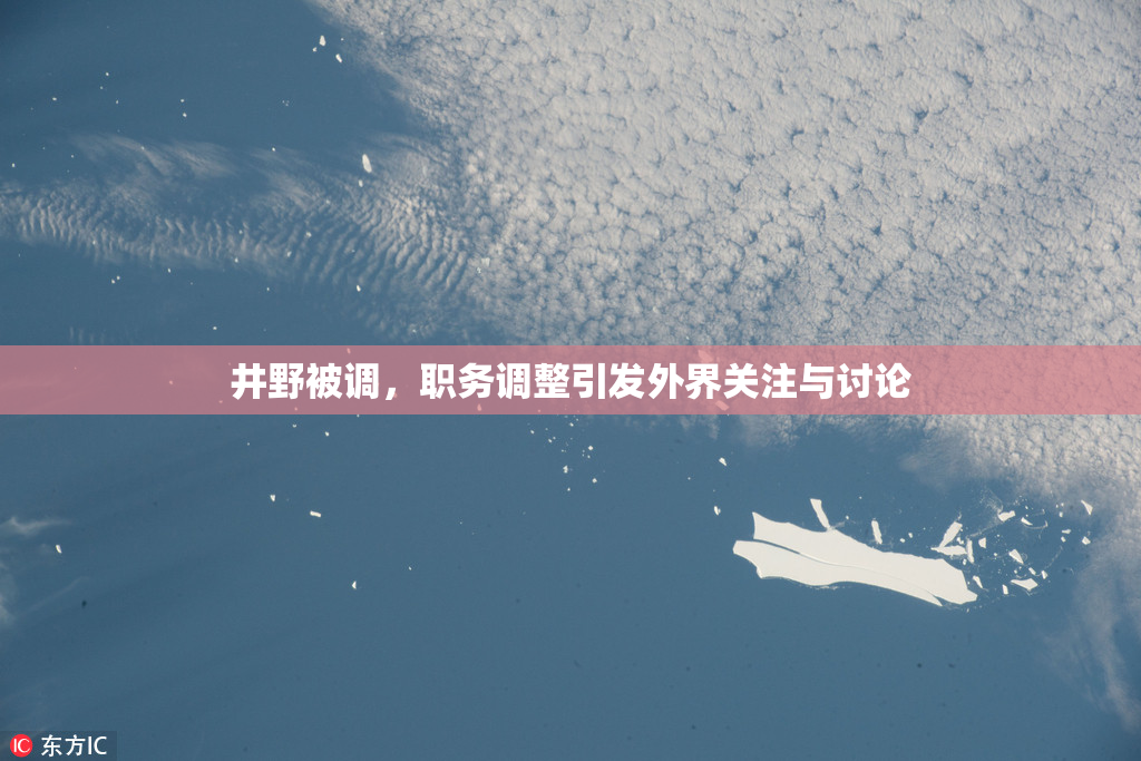 井野被调，职务调整引发外界关注与讨论
