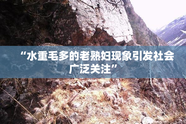 “水重毛多的老熟妇现象引发社会广泛关注”