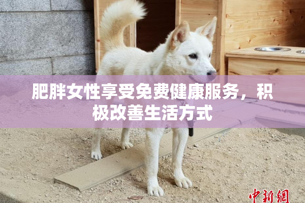 肥胖女性享受免费健康服务，积极改善生活方式