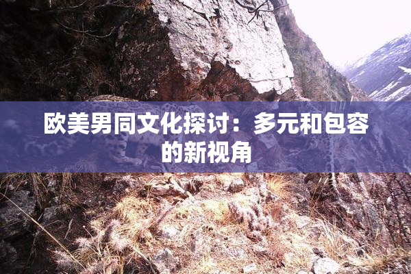 欧美男同文化探讨：多元和包容的新视角