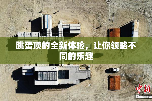跳蛋顶的全新体验，让你领略不同的乐趣