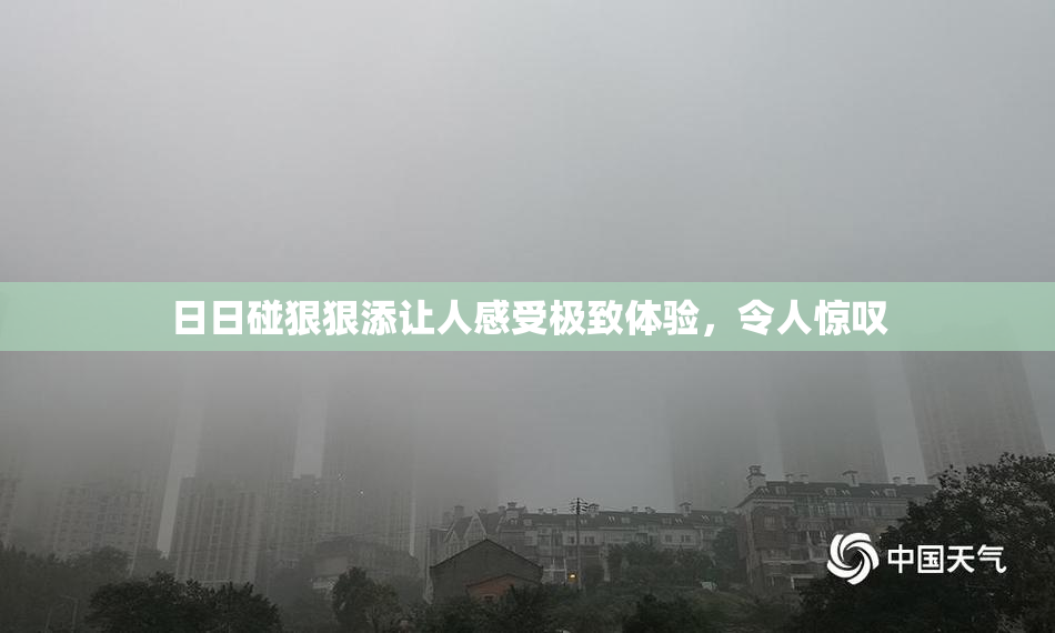 日日碰狠狠添让人感受极致体验，令人惊叹
