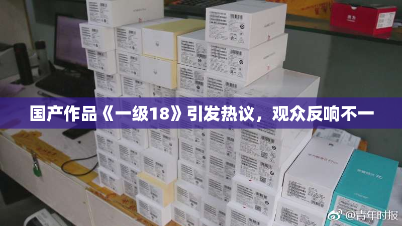 国产作品《一级18》引发热议，观众反响不一