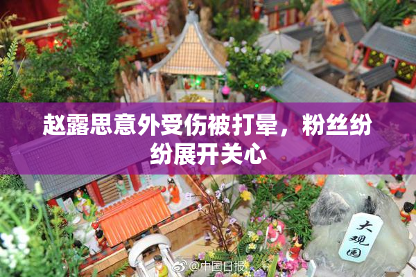 赵露思意外受伤被打晕，粉丝纷纷展开关心