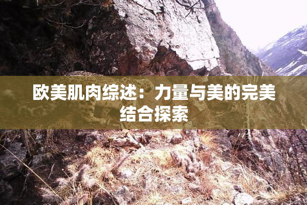 欧美肌肉综述：力量与美的完美结合探索