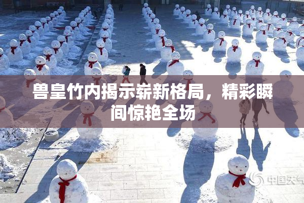 兽皇竹内揭示崭新格局，精彩瞬间惊艳全场