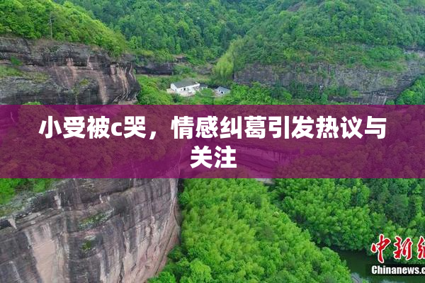 小受被c哭，情感纠葛引发热议与关注