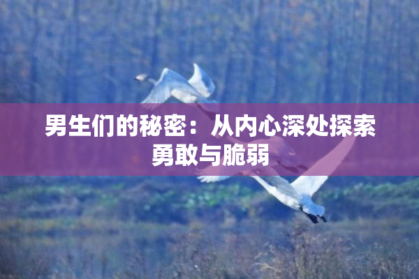 男生们的秘密：从内心深处探索勇敢与脆弱