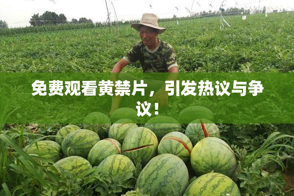 免费观看黄禁片，引发热议与争议！