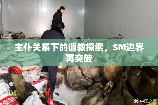 主仆关系下的调教探索，SM边界再突破