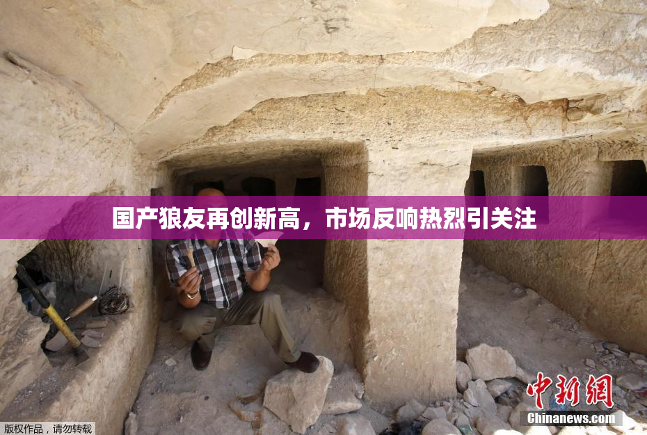 国产狼友再创新高，市场反响热烈引关注
