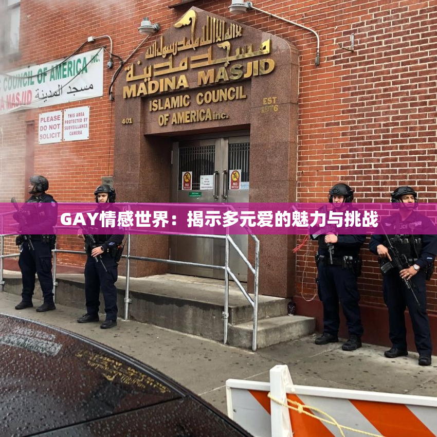 GAY情感世界：揭示多元爱的魅力与挑战