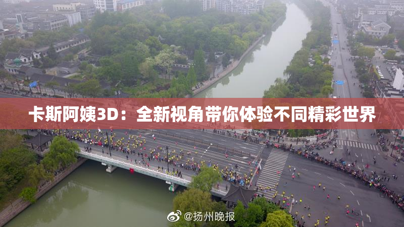 卡斯阿姨3D：全新视角带你体验不同精彩世界