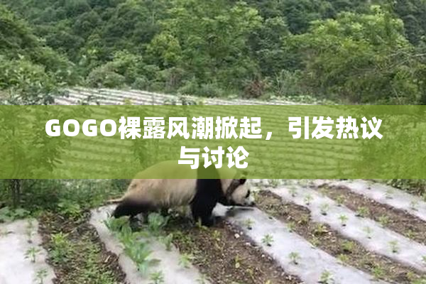 GOGO裸露风潮掀起，引发热议与讨论